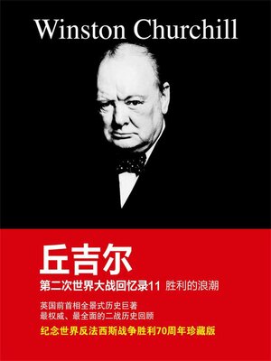 cover image of 胜利的浪潮